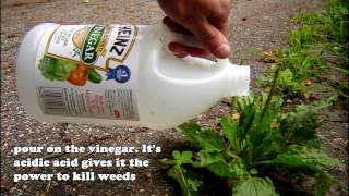 Celebrity Awesome Vinegar Life Hacks you should know. Profile