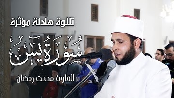 تلاوة هادئة مؤثرة لسورة "يس" القارئ مدحت رمضان