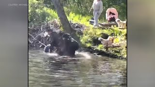 8-year-old boy attacked by beaver at New Jersey park, hospitalized