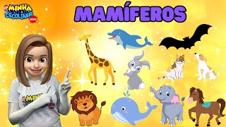 Mamferos G4  Educao Infantil  S Educativos  Atividades Para Crianas