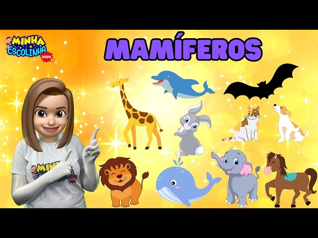 Mamíferos G4 - Educação Infantil - Videos Educativos - Atividades para Crianças