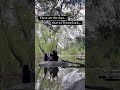 Precious Moment with the Kids at Mirror Lake in Yosemite National Park