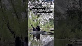 Precious Moment with the Kids at Mirror Lake in Yosemite National Park