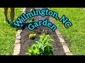 Wilmington, North Carolina Garden: Start to Finish