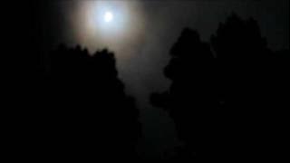 Ari Malibu - Mencium Bulan