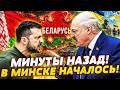 💥ЛУКАШЕНКО СДАЛИ СВОИ ЖЕ! КАПКАН ЗЕЛЕНСКОГО ЗАХЛОПНУЛСЯ! НАСТУПЛЕНИЕ ОТМЕНЯЕТСЯ! ВСУ ВЫКОСИЛИ ВСЕХ!