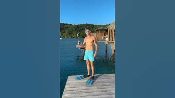 Aquaman who? 🐠🤿 #Insta360 #Insta360X4 #travel #snorkeling #Insta360Diving #islandlife #shorts #fyp