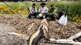 04/27/24 Back to Clearlake with teamwork for more catfish.