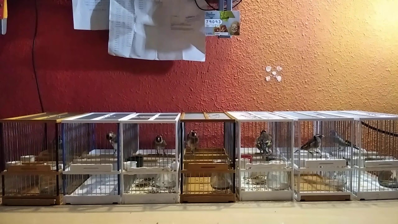 Prueba1 8 enero 2021