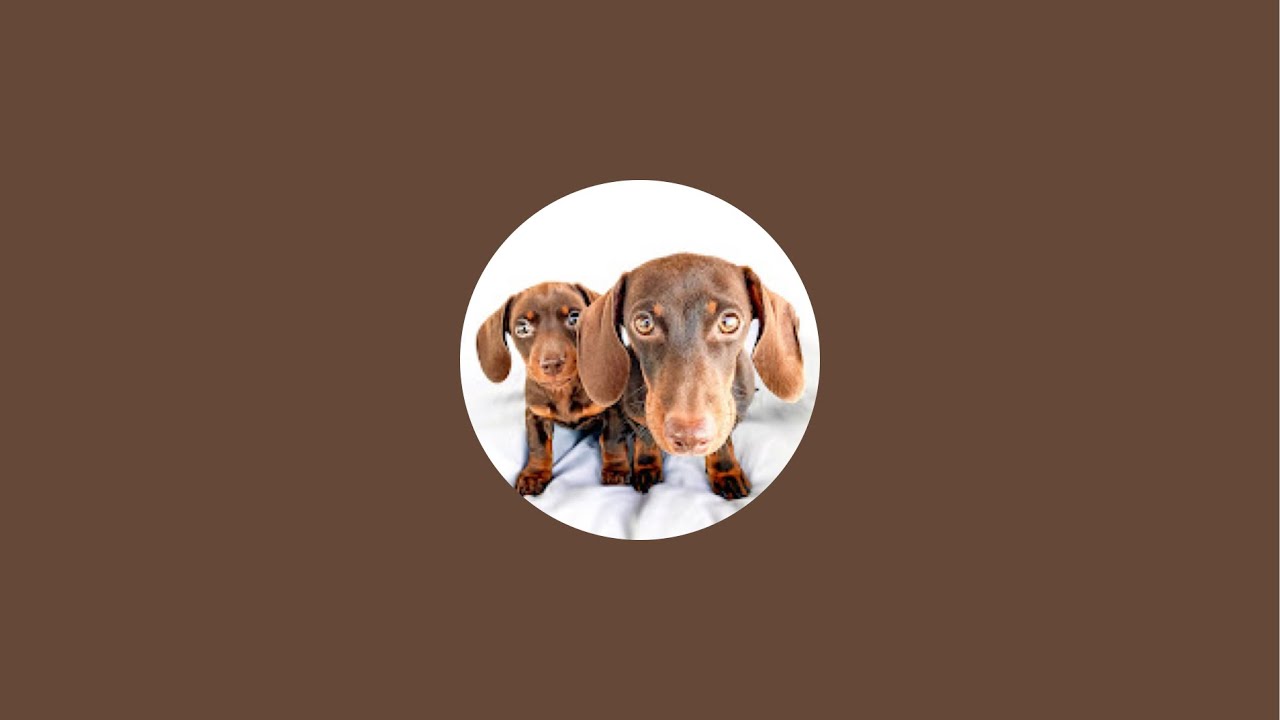Gunner and Greta is live!