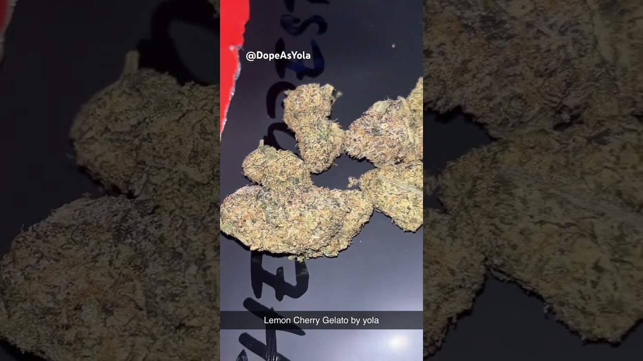 Lemon Cherry Gelato THCA Flower By DopeAsYola! Smell 10/10 Smoke 7/10 