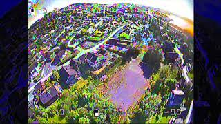 1 Pack Summer cruising \\ Lizard95