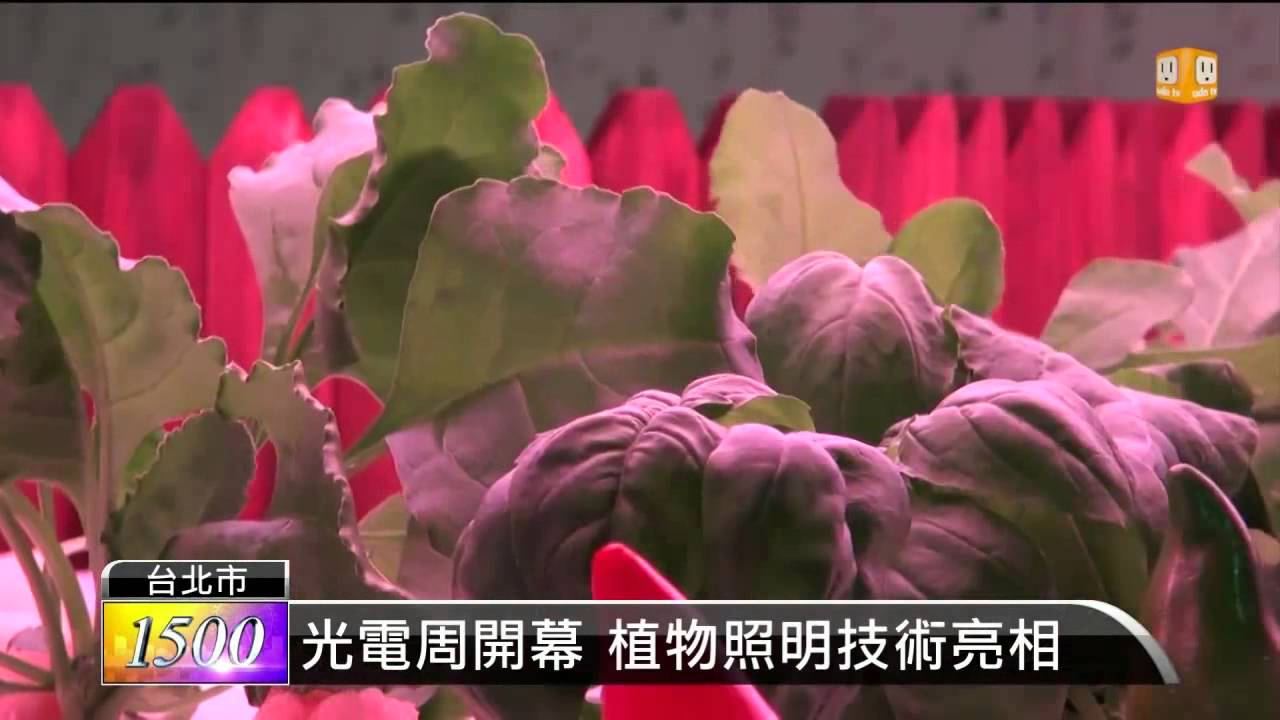 智慧植物栽培台車種植冰花 14植物工廠展 慶聲科技 Youtube