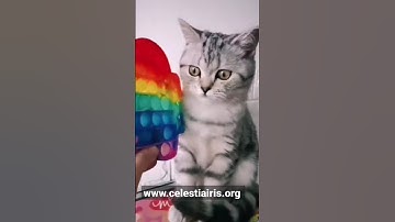 Pop it #asmr Fidget Toys Simple dimple Squid game #shorts