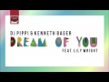 DJ Pippi & Kenneth Bager - La Serenata (Sandro S Dub Mix)