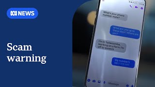 Louise Manning's Facebook account was taken over by a scammer | ABC News