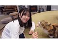 平尾帆夏と猫ちゃん の動画、YouTube動画。