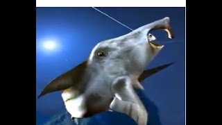 Kail pancing menangkap boss elefant shark fishing hook mobirix