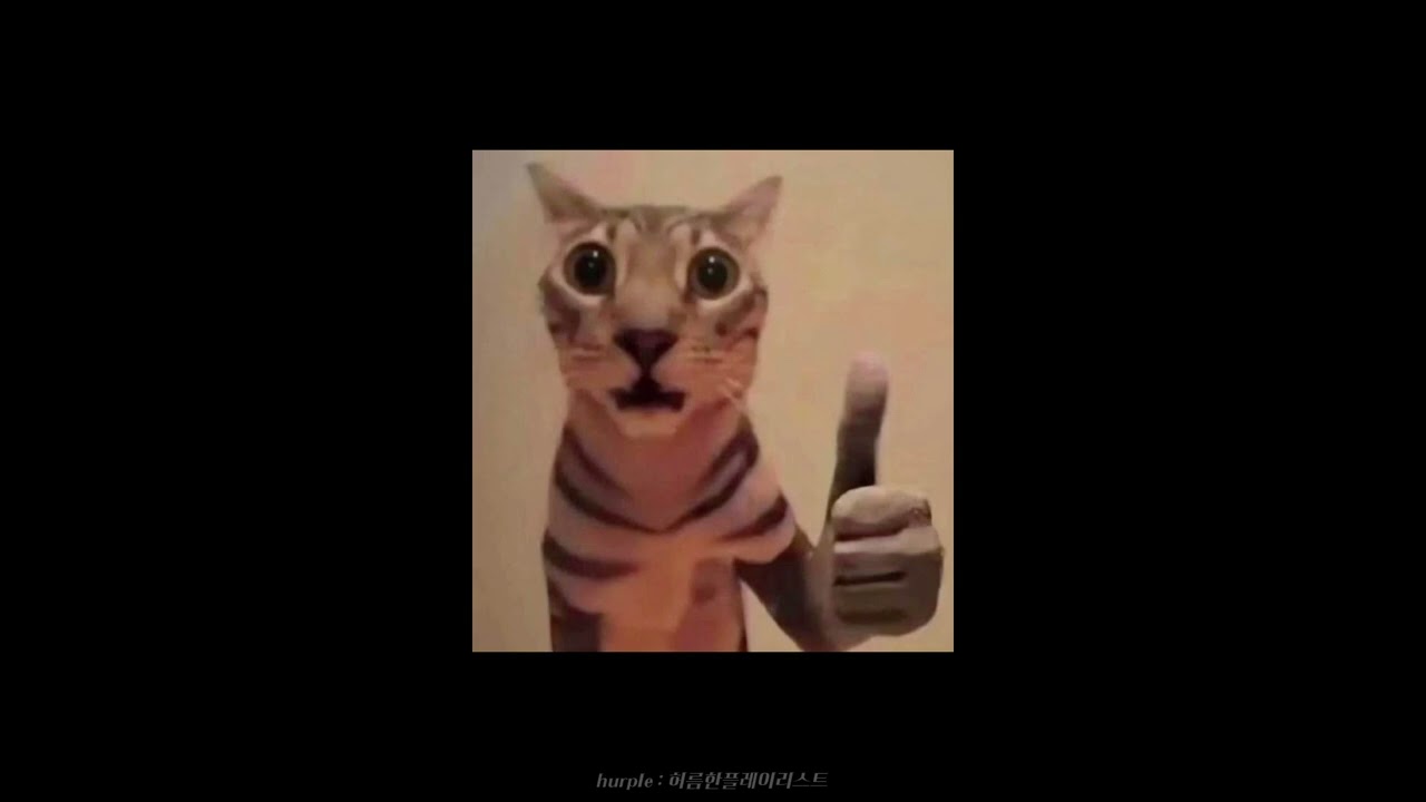 𝙥𝙡𝙖𝙮𝙡𝙞𝙨𝙩 따봉이절로나오내