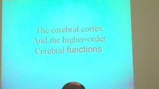 Cerebral Cortex Lecture (Menini)