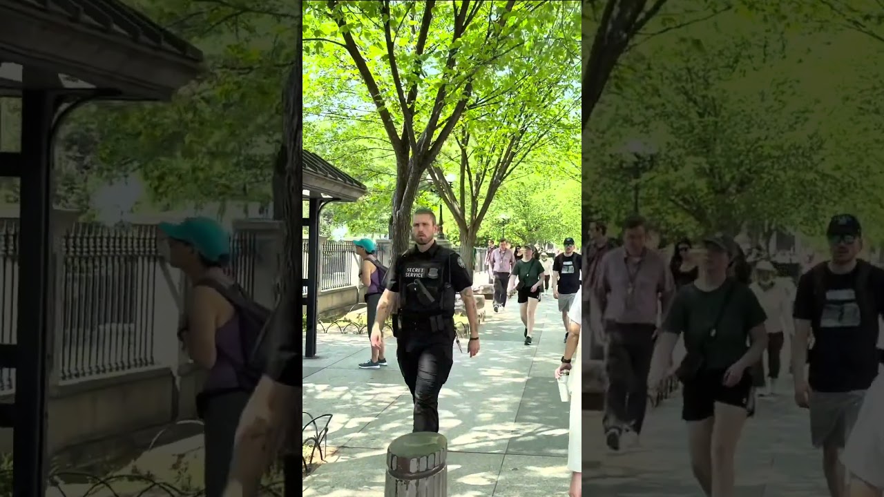 Spring in Washington DC. 