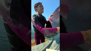 Rider : てんちょう  #wakesurfing  #wakeskim #ウェイクサーフィン #ウェイクスキム #広島