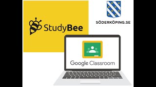 Studybee 4 - Ange Startnivå För Elevernas Nuläge I Kursen