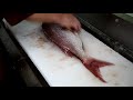 ベテラン板長が教える、鯛のさばき方、三枚のおろし方前編（1/2）