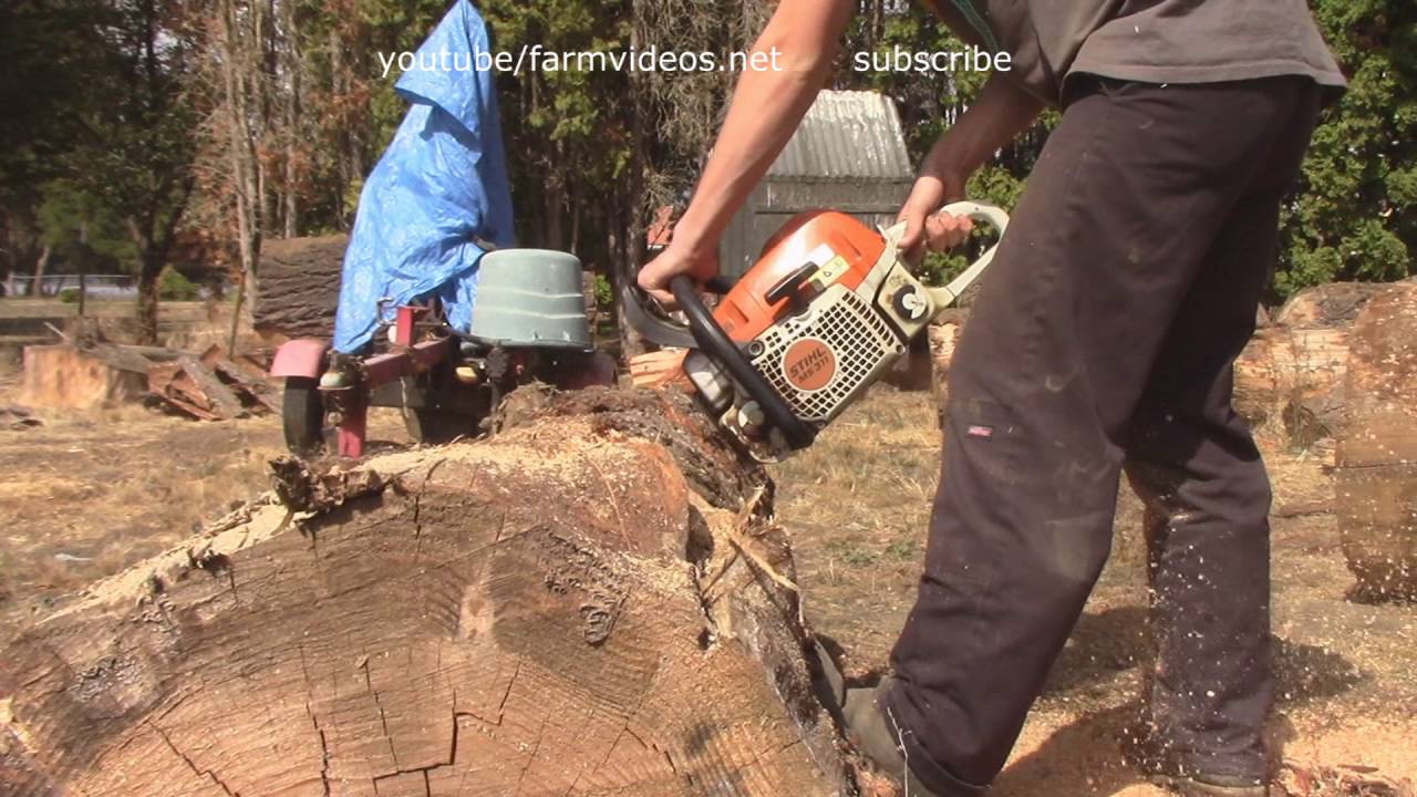 stihl ms 311 ep.7 YouTube