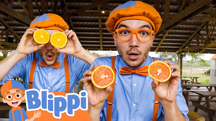 Sink or Float with Fruit! | Blippi Learns | Learn Colors and Science with Blippi!
