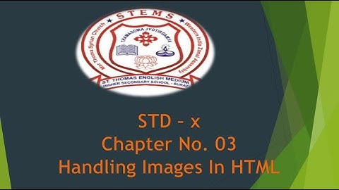 STD 10 # Computer # Chapter 03 Handling Images In HTML
