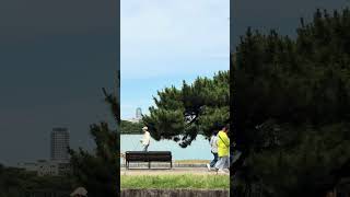 POV: Relaxing walk in a beautiful Japanese park