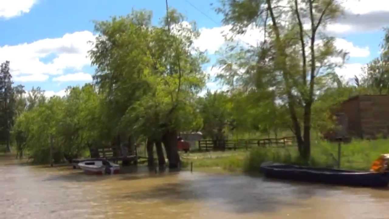 Sauce Llorón YouTube