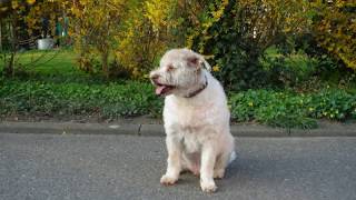 Puttershoek, Afscheid Van Rakker