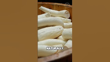 Cassava root processed in strange way