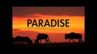 Download lagu Coldplay Paradise Instrumental