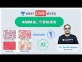 Animal Tissues - L1-Neural | Class 11 | Unacademy NEET | LIVE DAILY | NEET Biology | Dr Sachin Kapur