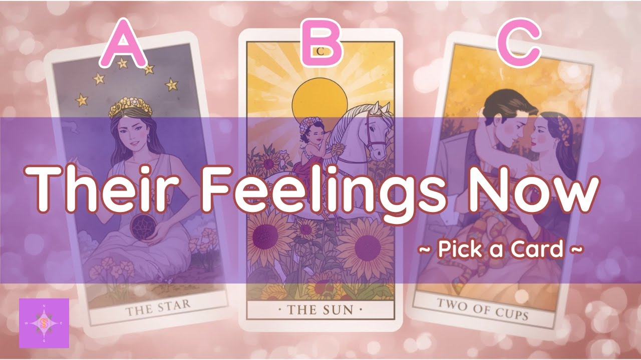 【No Need to Worry🌸】What They’re Not Saying & Where This Is Going