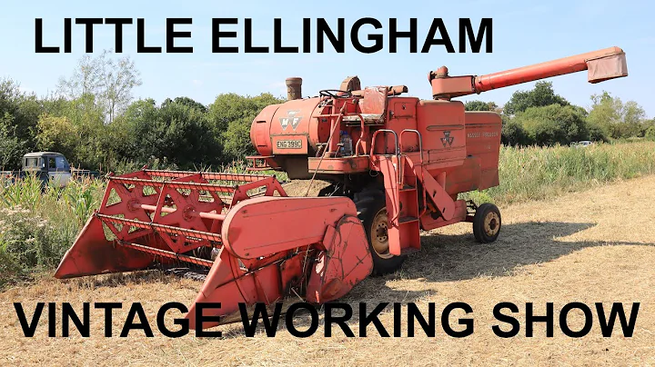 Little Ellingham
