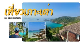 เที่ยวเกาะเต่า ที่พัก Blue Heaven Ko Tao รีวิว เดือนกุมภาพันธ์ทะเลสวยสุดๆ