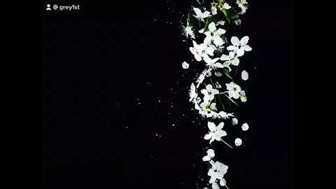 سعود الشريم - سورة الاحزاب