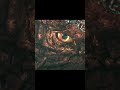 THE AWAKENING,,,,,,,,,, GODZILLA vs TITAN X #monarchseason2