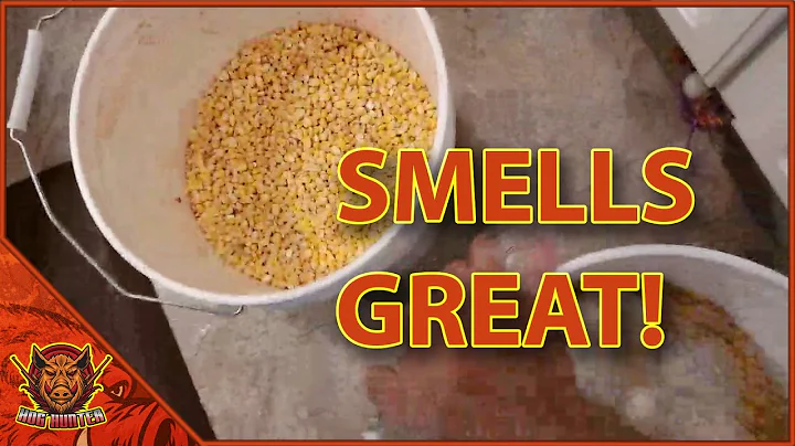 Super Easy & Cheap Hog Bait - Under $10