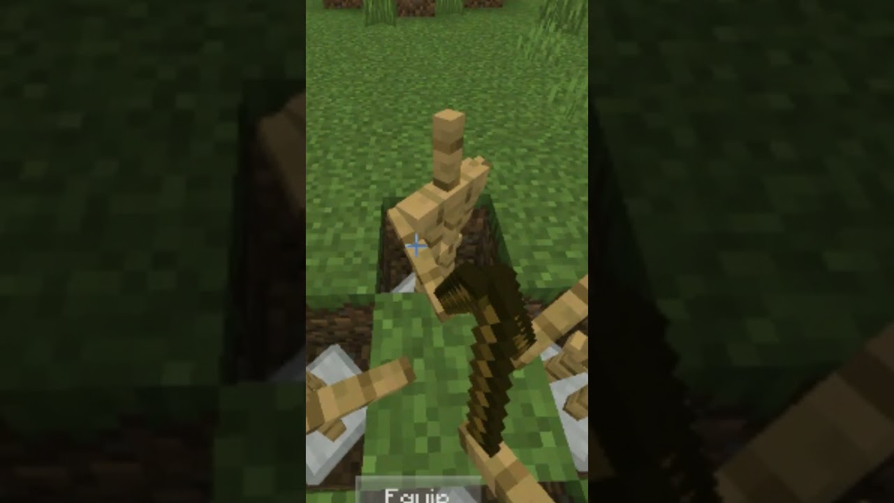 Minecraft Tiktok Hacks 🤓 | Telescope