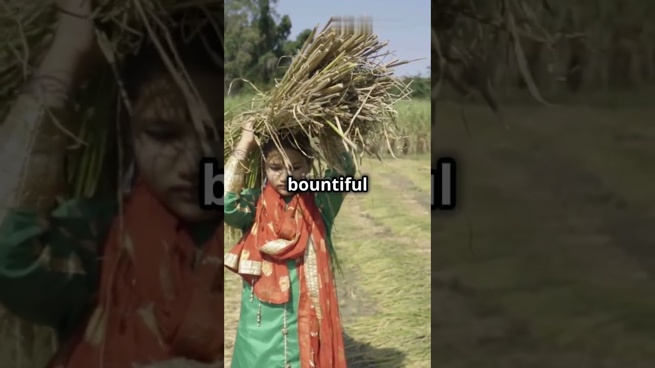 Why Bhogi is celebrated, reason behind the festival celebration! 