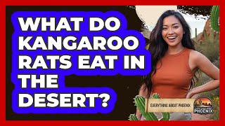What Do Kangaroo Rats Eat In The Desert? What Do Kangaroo Rats Eat In The Desert?