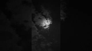 A midnight reminder to let yourself heal | Cinematic Quotes #nature