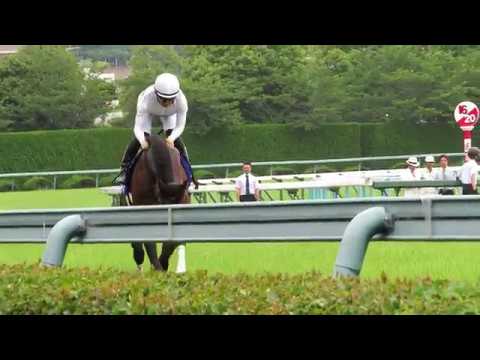 R1.06.23　馬場入場　宝塚記念　阪神競馬場