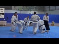 Aikido Yoshinkan Brisbane Dojo 21st Demo 2016 Mori Shihan 7th Dan 「実戦即応技と合気」森道治 師範