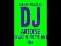 DJ ANTOINE - 3x Shake [FFLOYD MIX 2011]